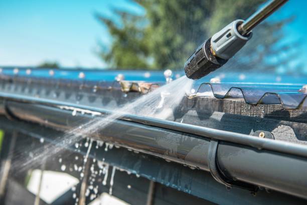Best Exterior Home Cleaning  in Adrian, MN