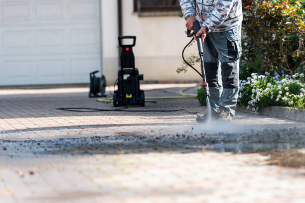 Best House Pressure Washing  in Adrian, MN