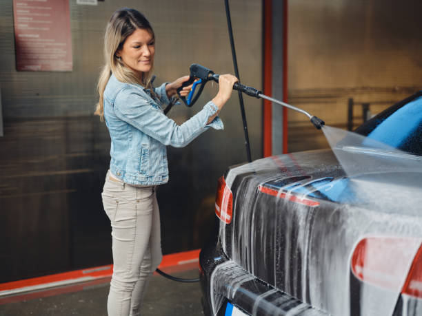 Best House Pressure Washing  in Adrian, MN